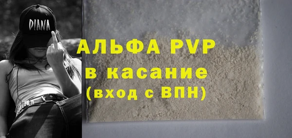 сатива Балахна