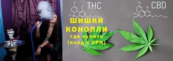 сатива Балахна