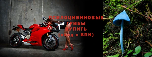 сатива Балахна