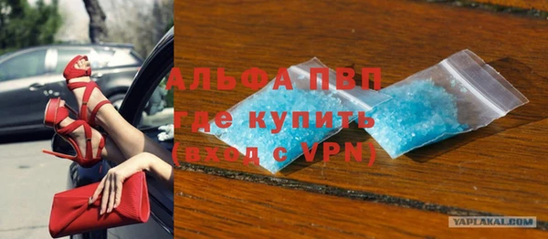 сатива Балахна