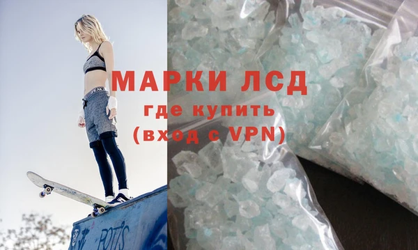 сатива Балахна